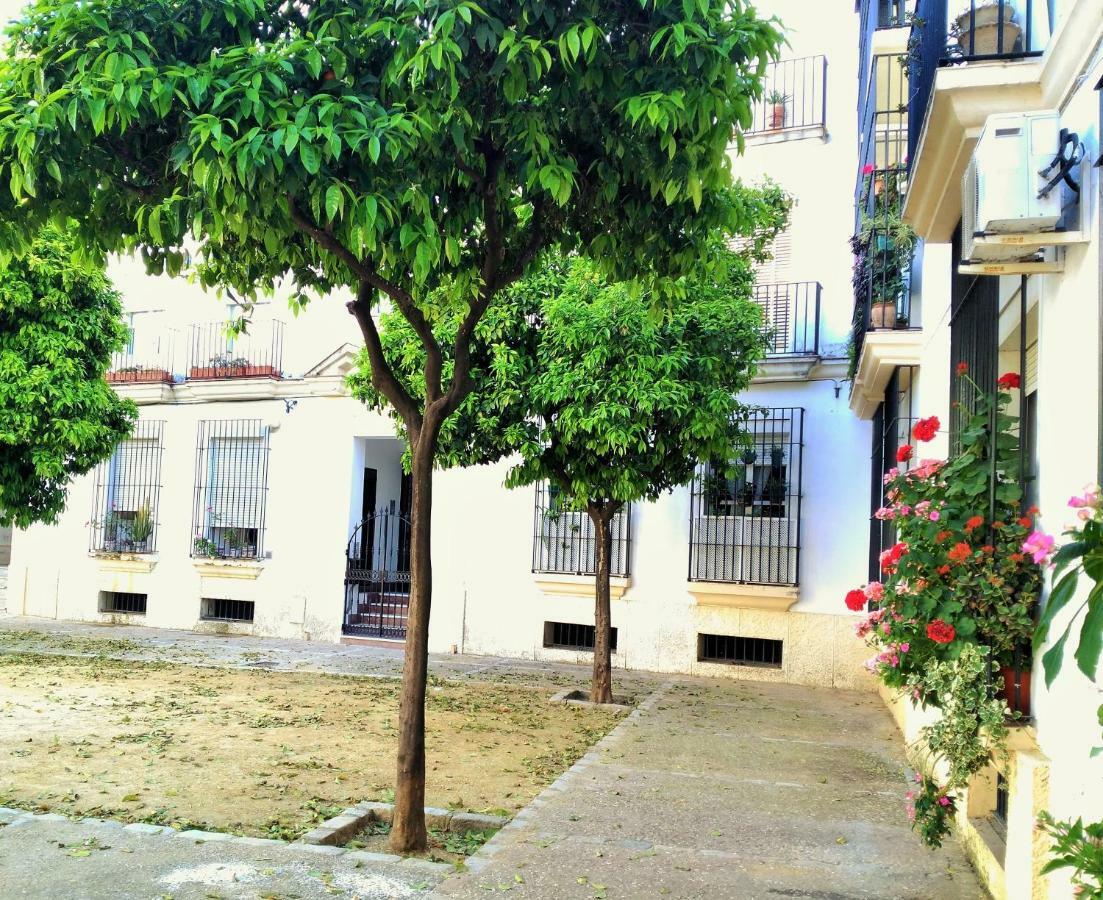 Apartamento Plaza Compania Jerez 赫雷斯 外观 照片