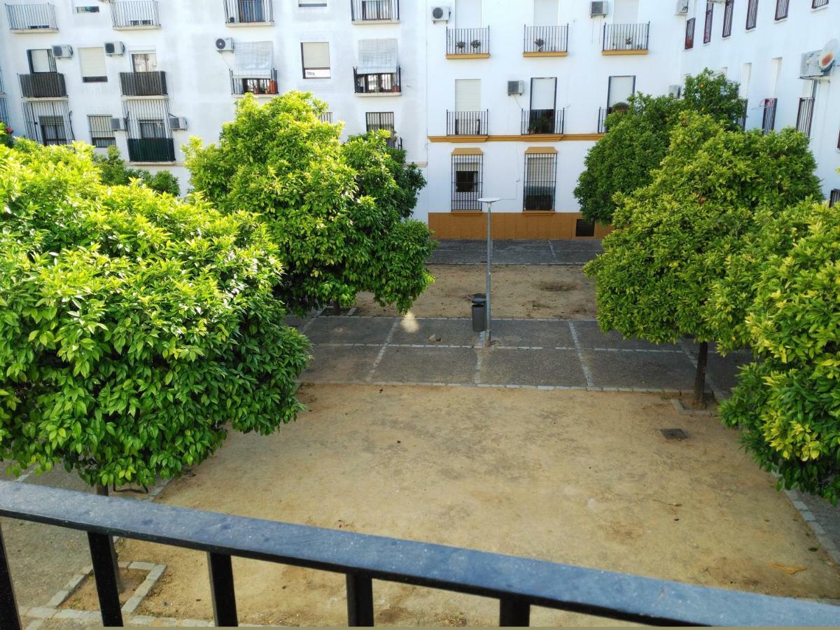 Apartamento Plaza Compania Jerez 赫雷斯 外观 照片