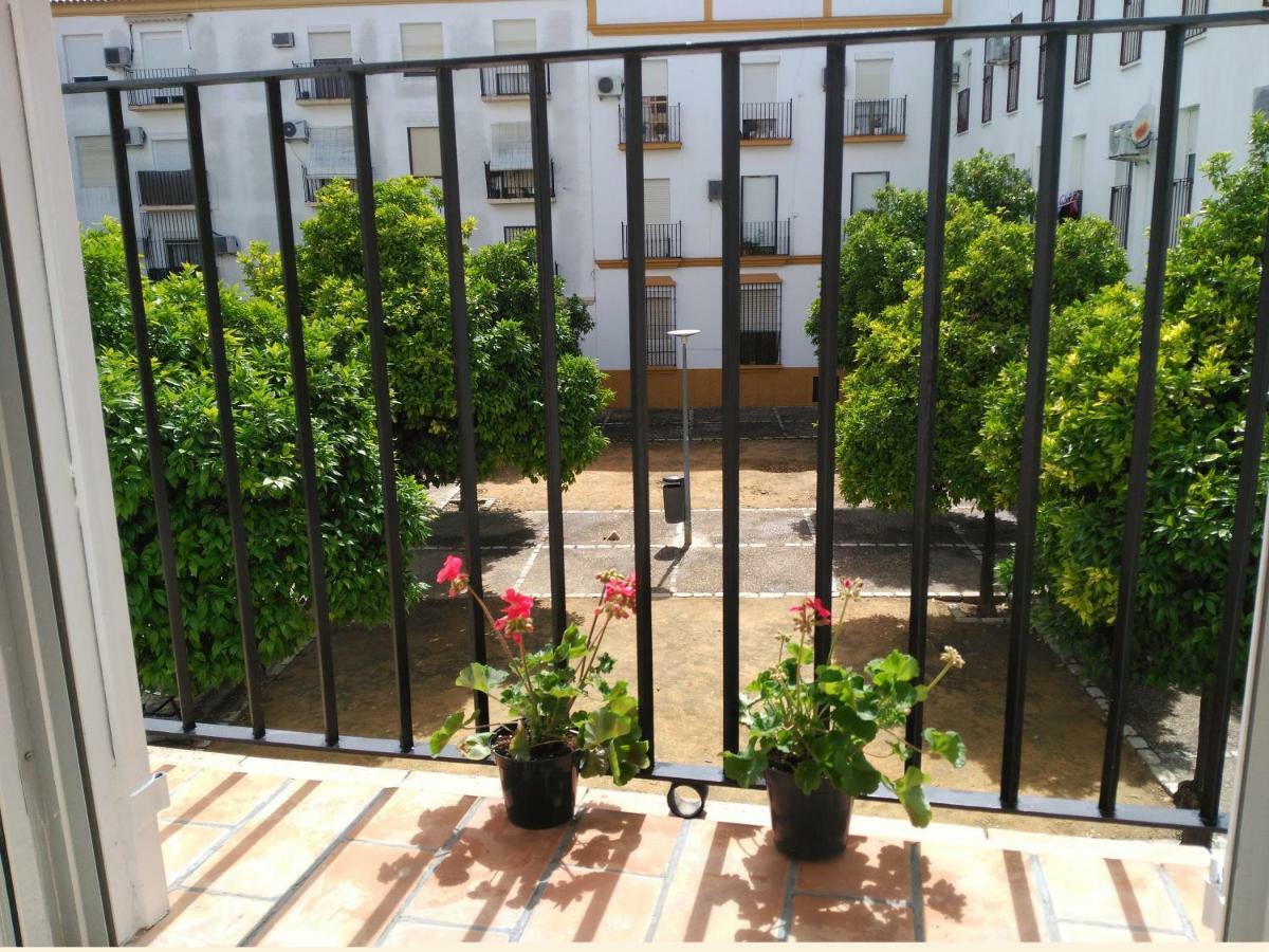 Apartamento Plaza Compania Jerez 赫雷斯 外观 照片